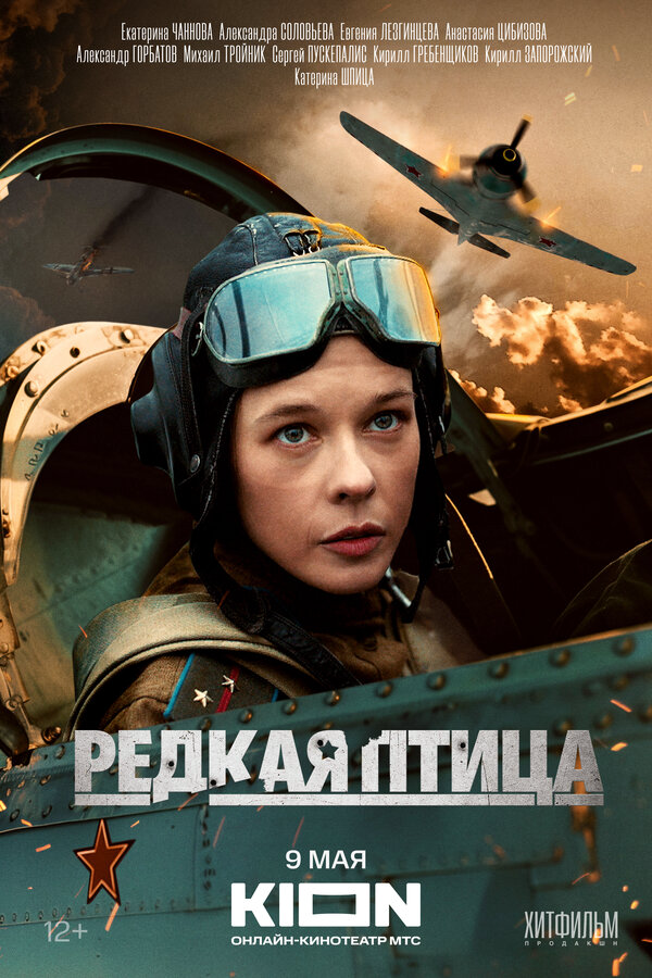 Редкая птица - постер сериала